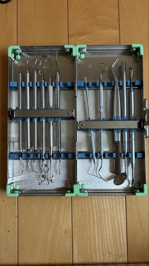 歯科衛生士顎模型ニッシンマネキン セット説明書付き