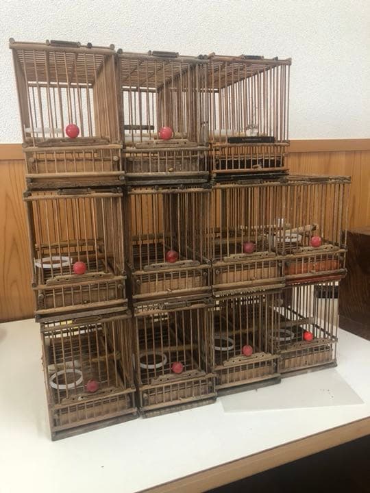 鳥籠