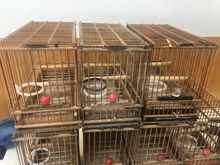 鳥籠