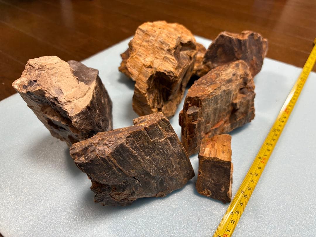木化石　7個4.3kg（天然石 茶系色 不規則な形状）
