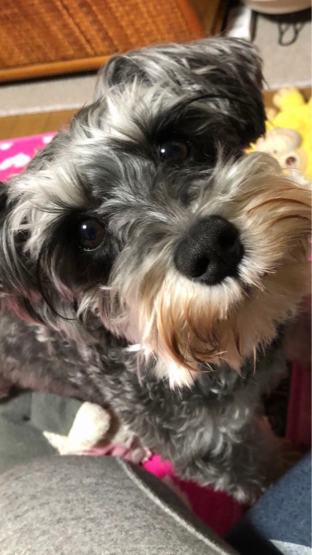 miniさま  確認用　その②