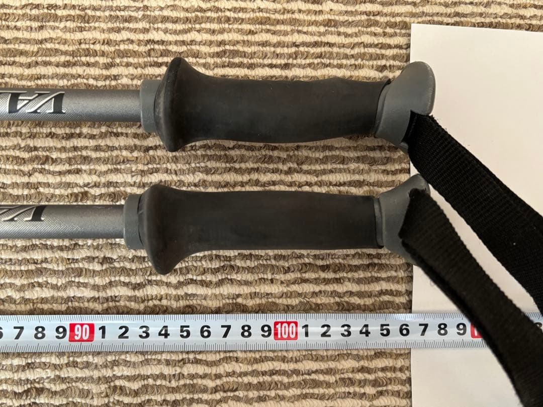 SALOMON VEスキー板（ビンディング付）・キザキストック・収納ケース