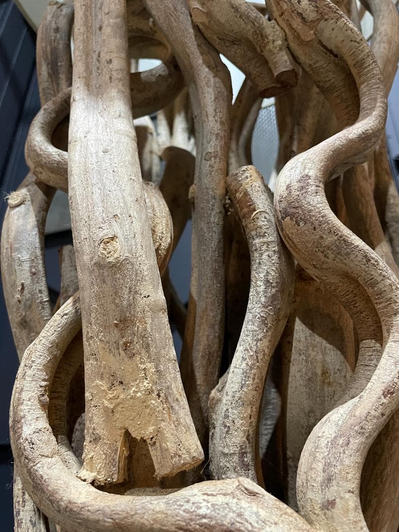 ◉KARE Design◉ Scultra　スカルトラ　流木 フロアランプ