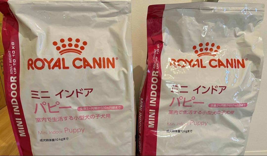  CANIN ミニ インドア パピー 10kg✖️２袋