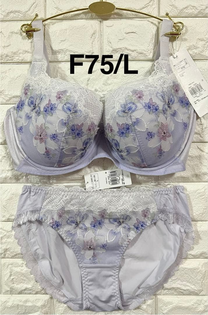 トリンプ　TR636 上下セット　ブラウン&グレー　F75/L➕L