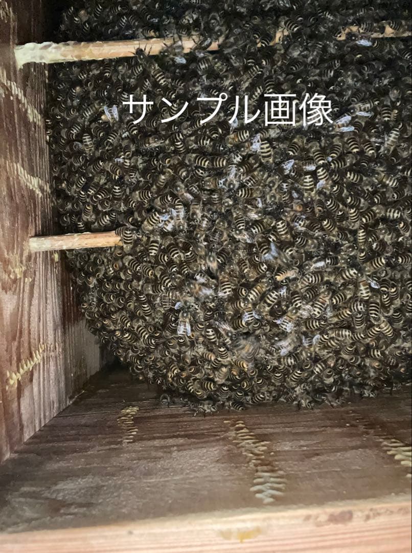 日本蜜蜂重箱式巣箱！ハニーズハウス！五段スノコセット！送料無料！