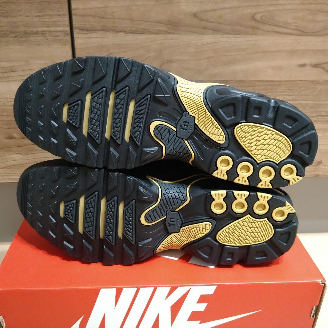 NIKE AIR MAX PLUS DRIFT ナイキ エア マックス プラス