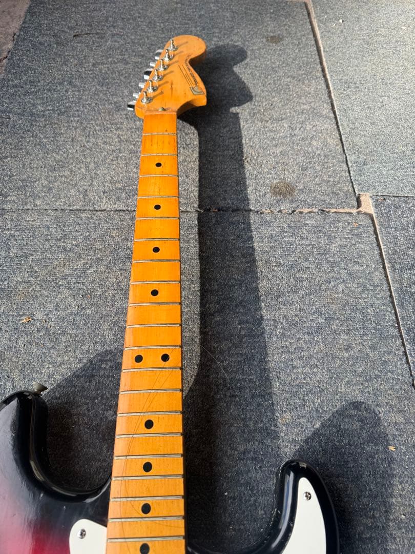 ギター FERNANDES