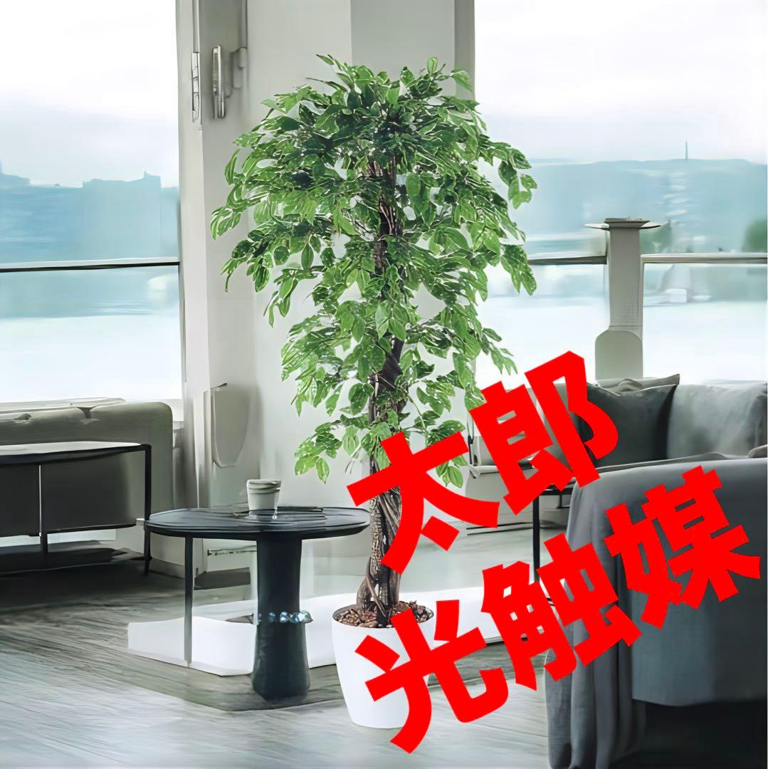 光触媒　人工観葉植物　フェイクグリーン　ベンジャミンスプラッシュリアナ150
