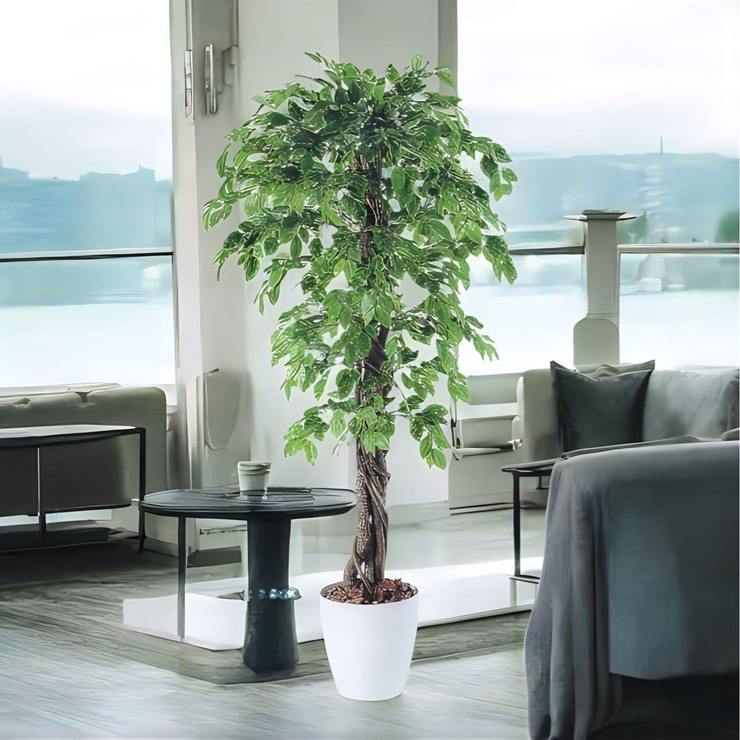 光触媒　人工観葉植物　フェイクグリーン　ベンジャミンスプラッシュリアナ150