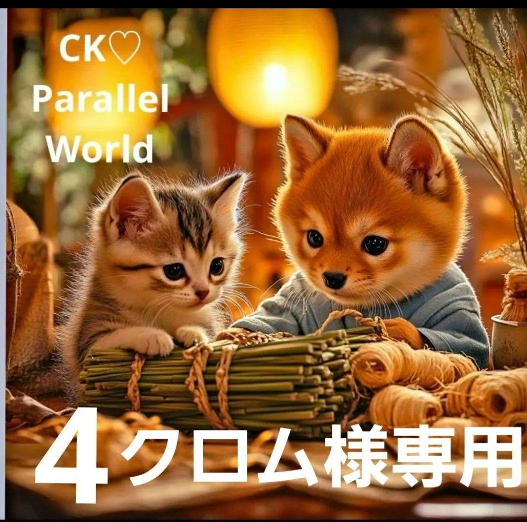 クロム様御確認用♬