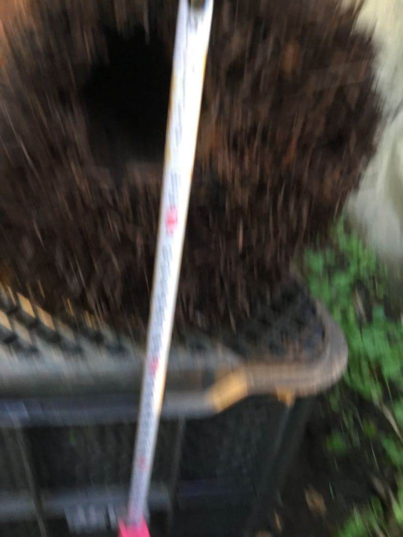 ヘゴ板