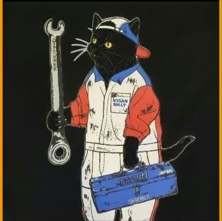 go slow caravan ✕ NISSAN コラボロンティー