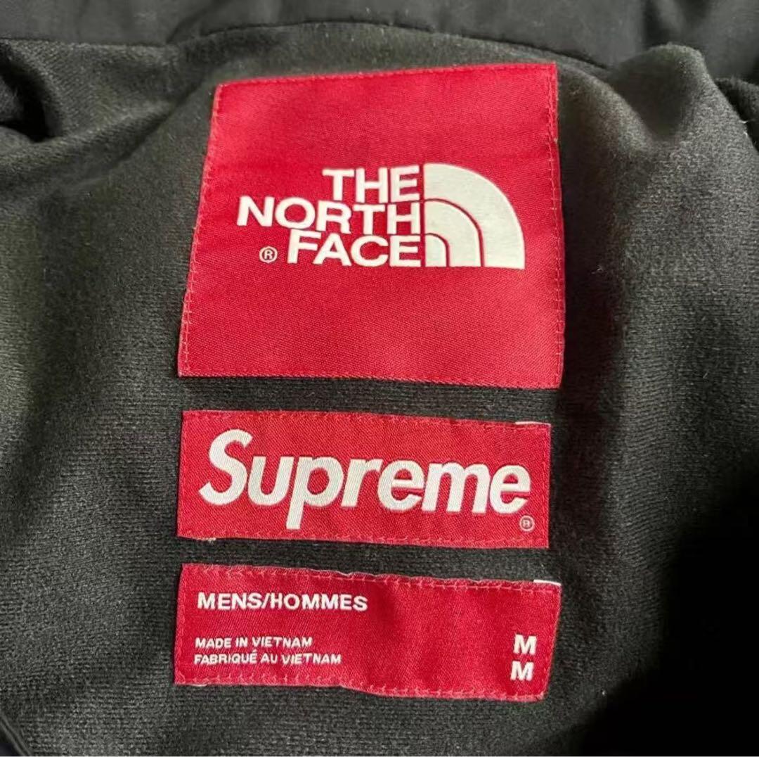 【M】Supreme×The North Face自由の女神 マウンテンパーカー