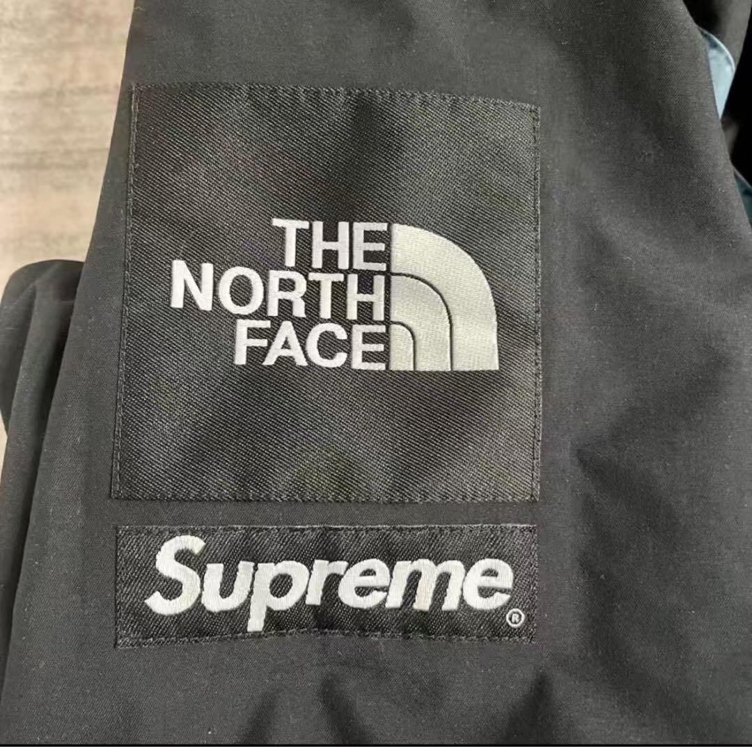 【M】Supreme×The North Face自由の女神 マウンテンパーカー