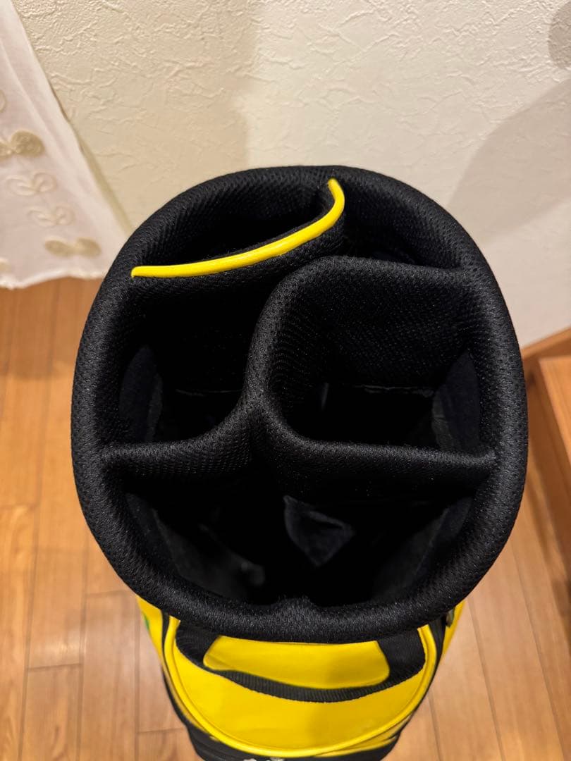 ❗️限定❗️Mizuno キャディバッグ