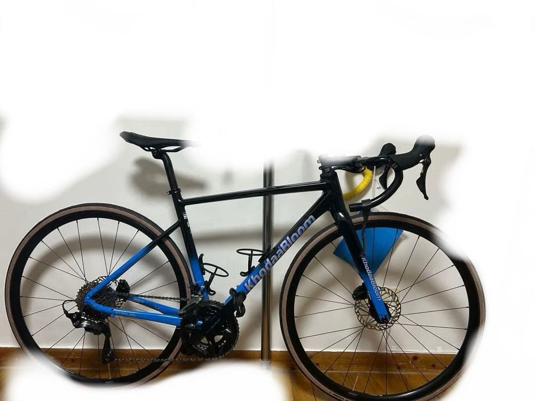 コーダーブルームストラウスレース3 105組　490mm