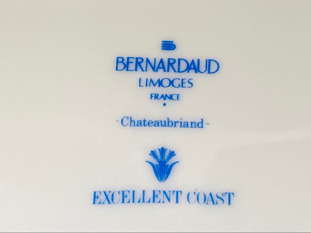 ⭐️フランス製 ⭐️Bernardaud Chateaubriand 皿 2枚セット