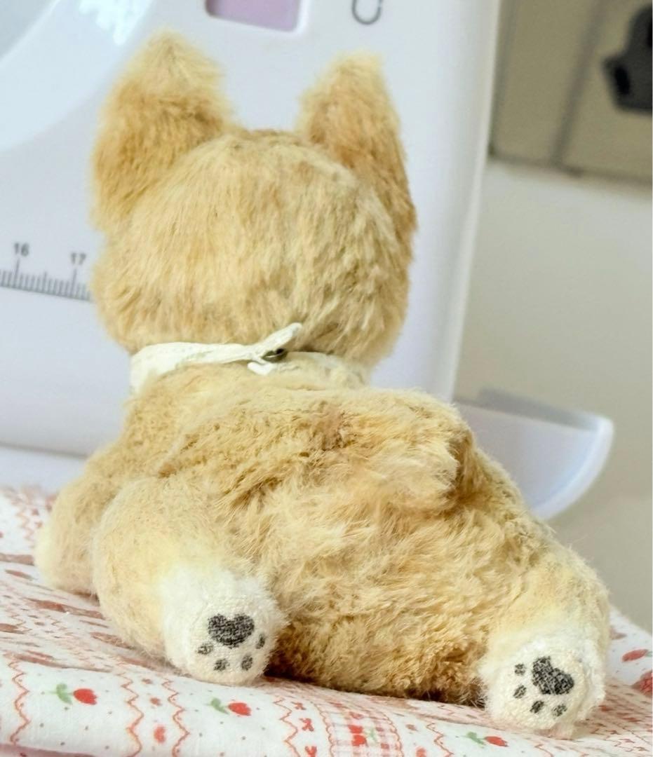 連れてってワン アーティストベア 海外作家様 ハンドメイド コーギー犬 置物