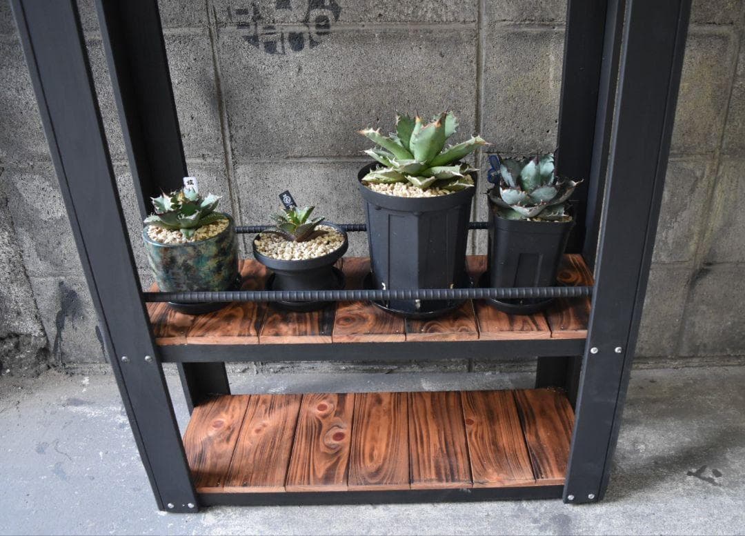 ち*こ様 男前インテリア　植物育成棚　多肉植物　ラック　棚　耐水性あり　922