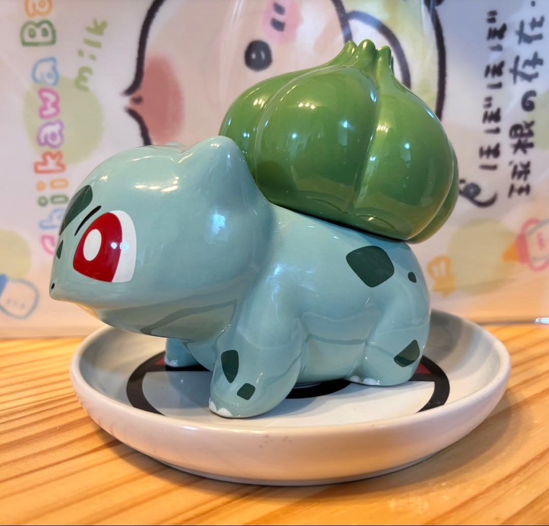 土日限定価格！フシギダネ 鉢植え 皿付き