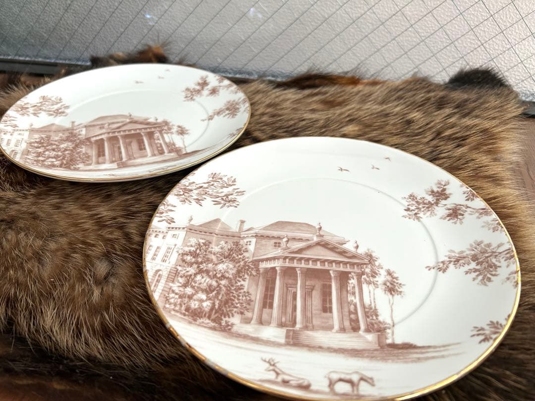 ★希少★ 【パラディアン】 アクセントハウス プレート 21cm✖️2枚