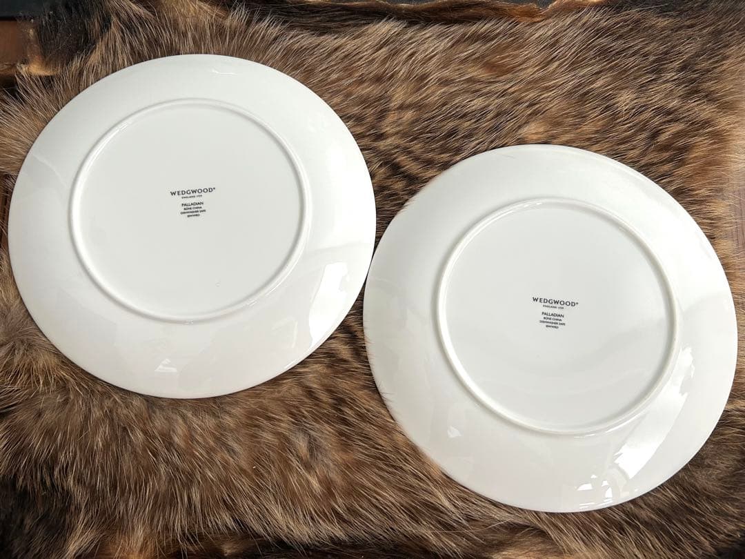 ★希少★ 【パラディアン】 アクセントハウス プレート 21cm✖️2枚