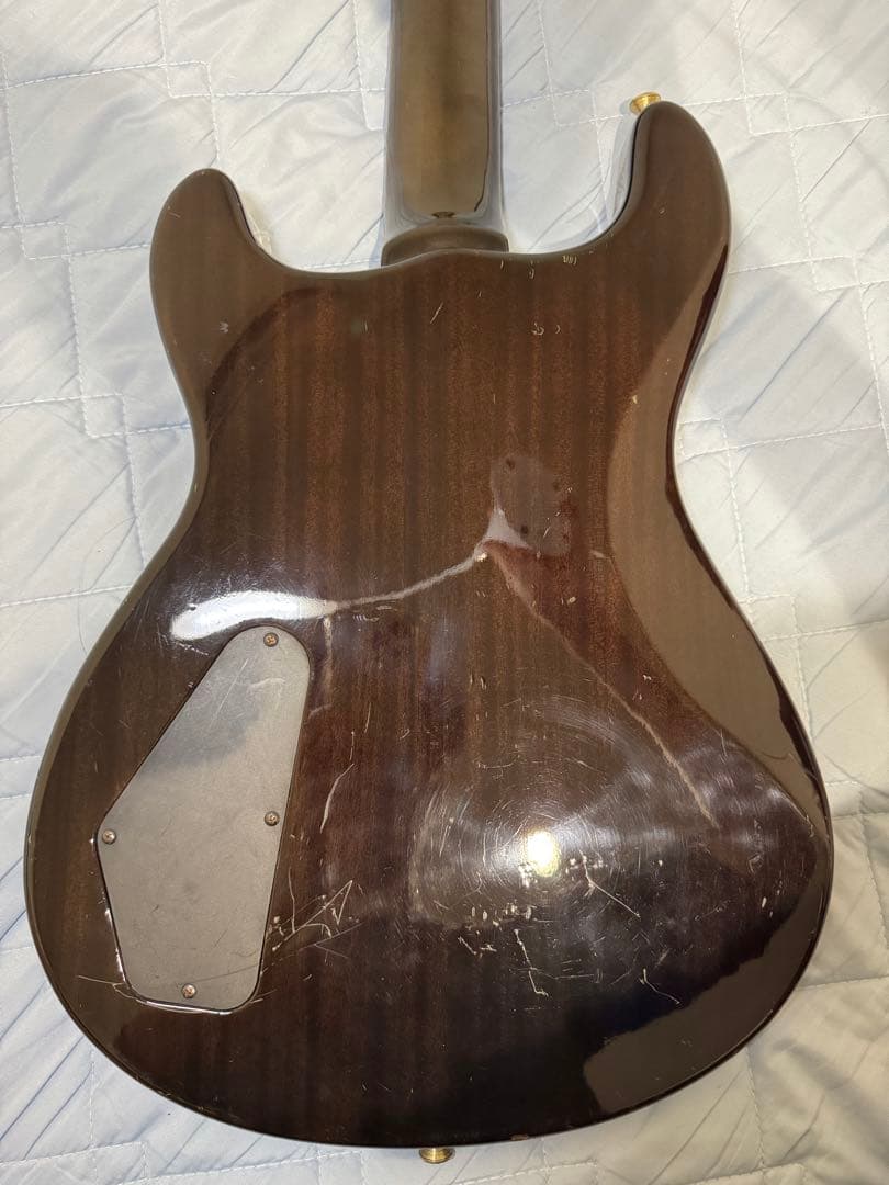 フェルナンデス　APG-100