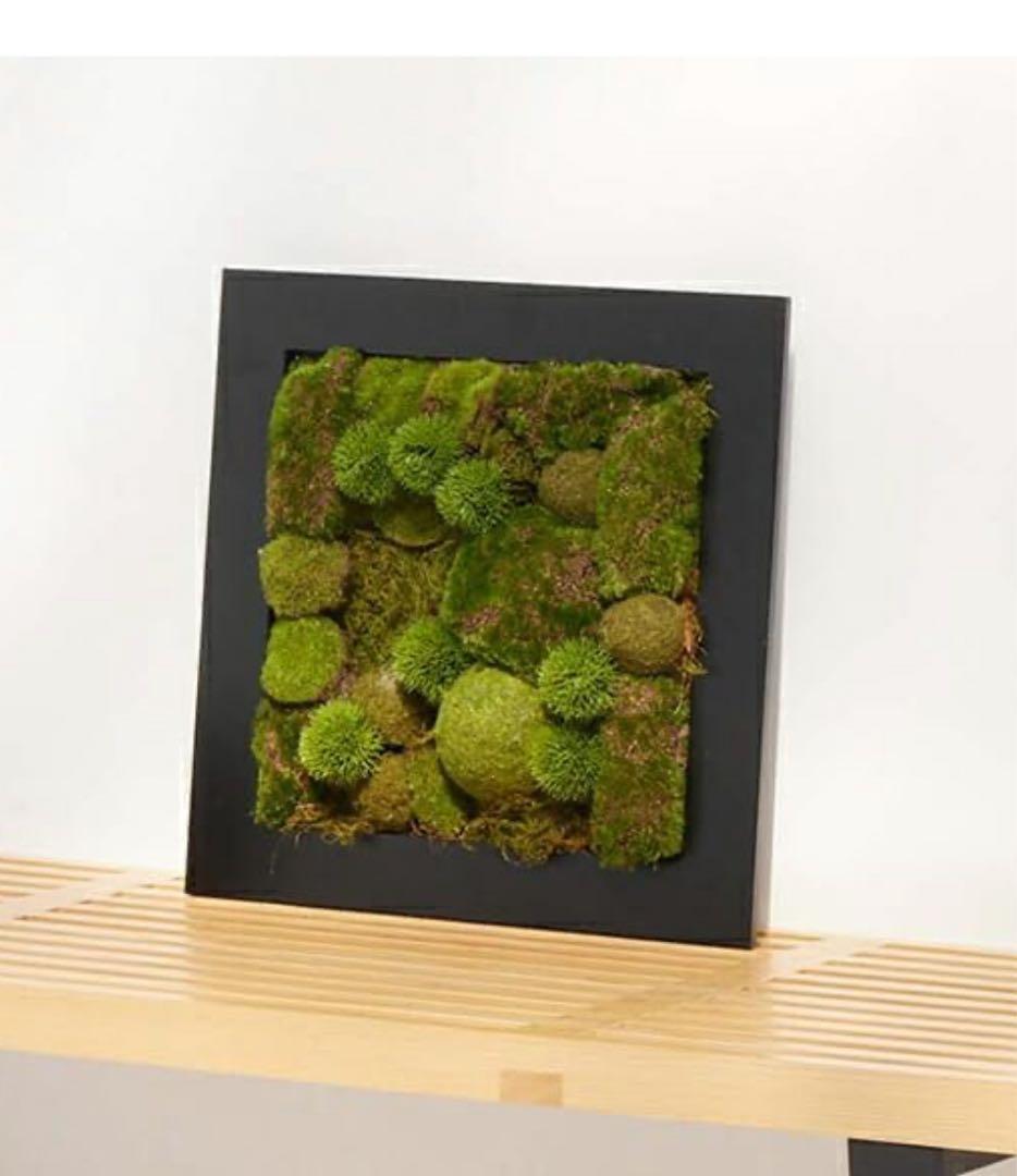 CUPBON 盆栽 苔盆 フェイクグリーン インテリア