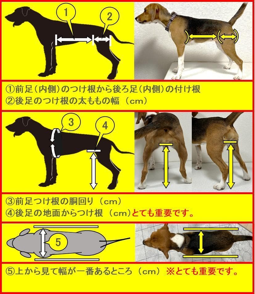 犬用車椅子、コーギー用４輪車、犬の車椅子