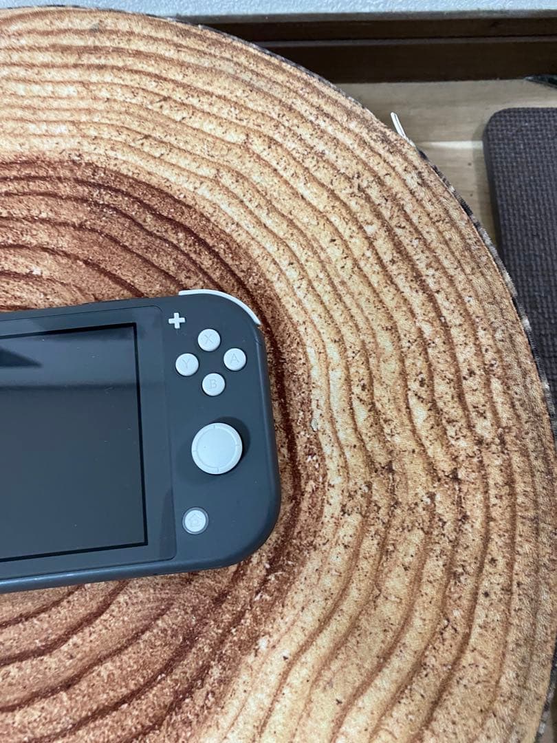 Nintendo Switch Lite グレー　本体のみ ①