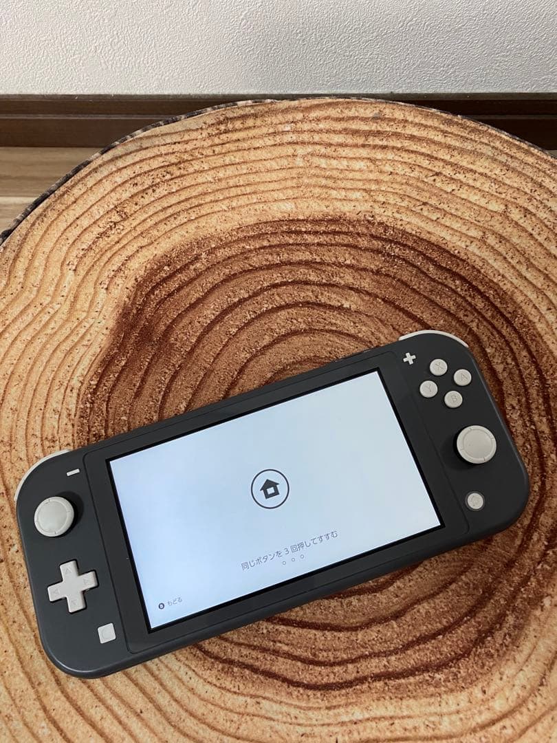 Nintendo Switch Lite グレー　本体のみ ①