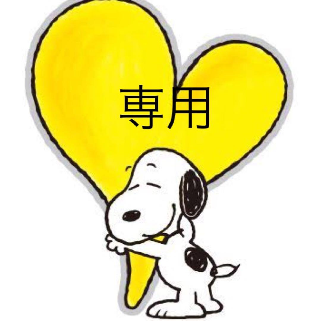 【専用です】新品未開封　ジャクリポータブル電源 1000New +100W