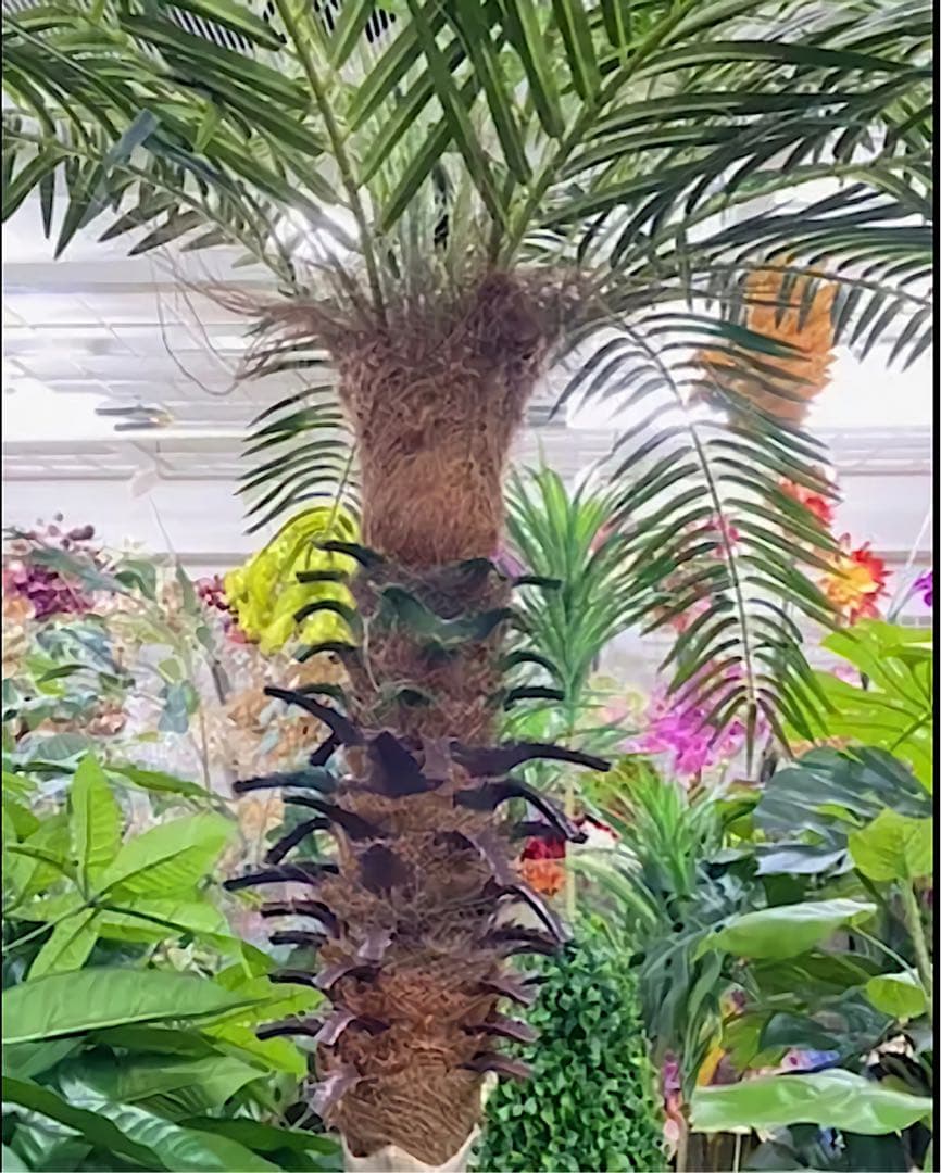 光触媒　人工観葉植物　ウォールグリーン　フェイクグリーン　フェニックス19