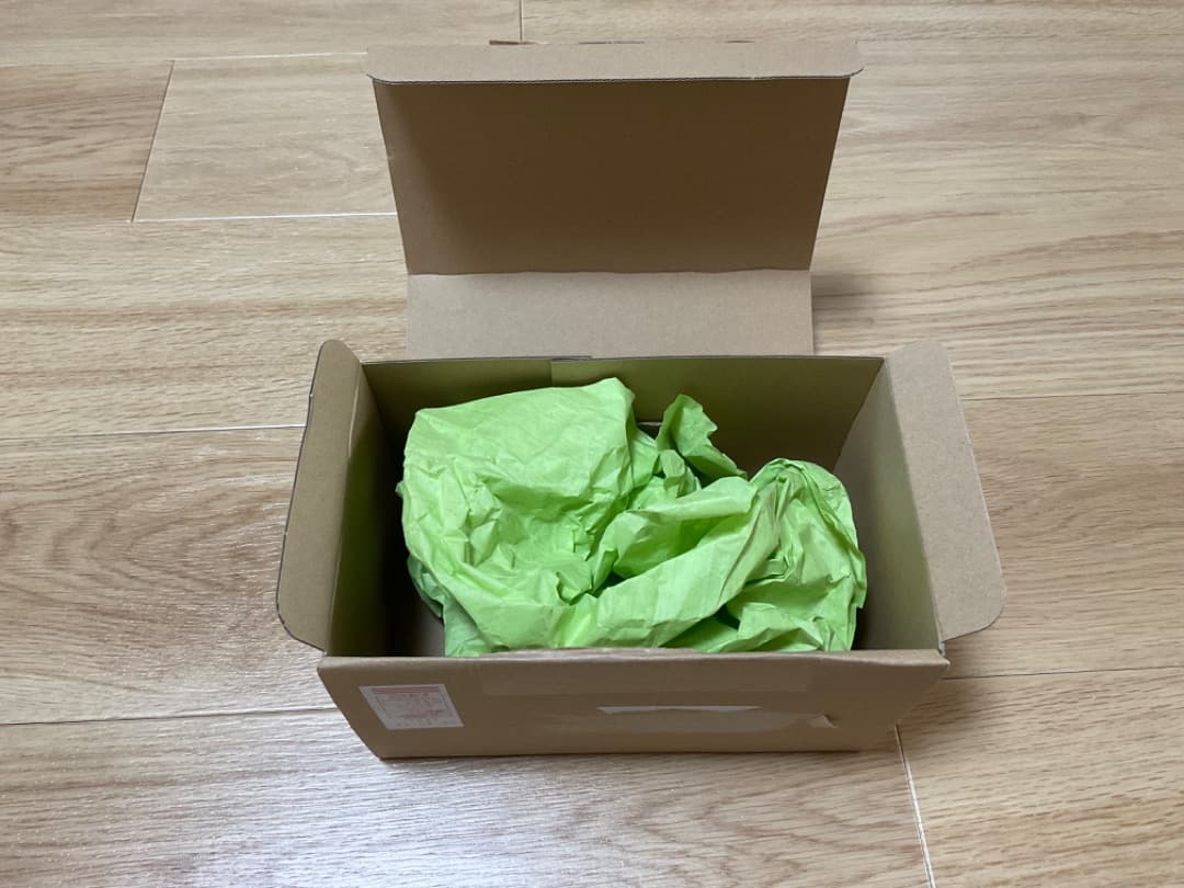 CATAPULT カタパルト FIKA 12