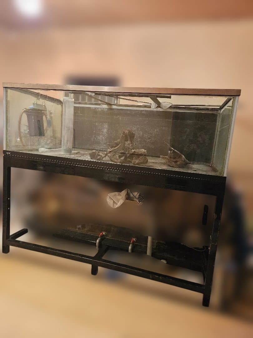 大型オーバーフロー水槽