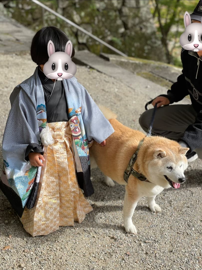 七五三　男の子　フルセット（足袋以外）