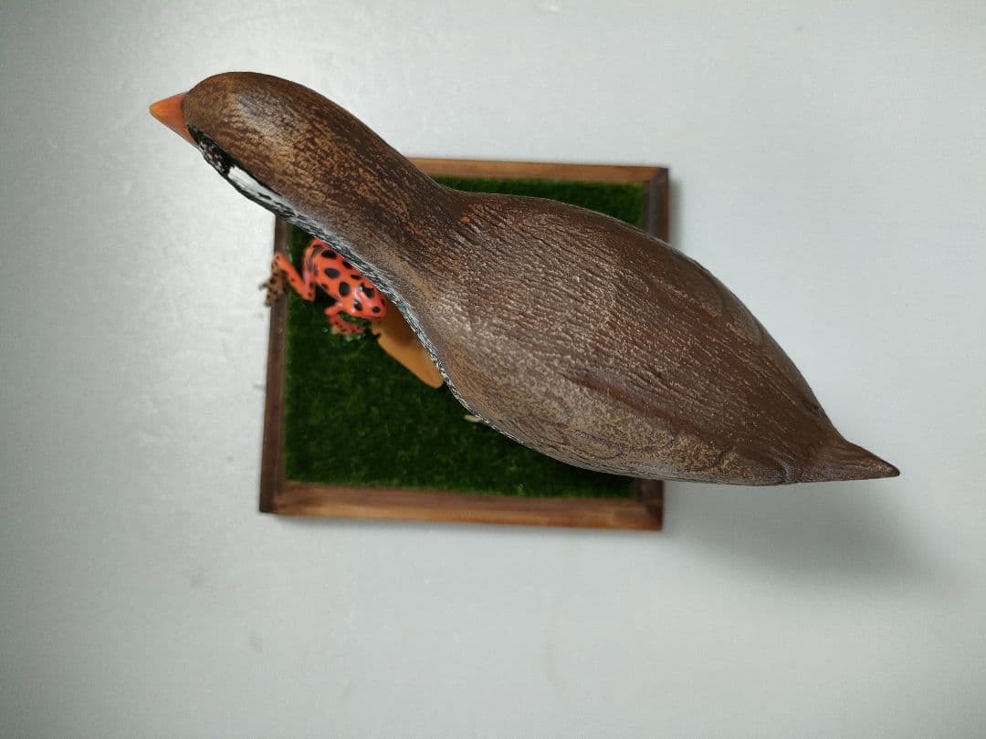 ヤンバルクイナ　バードカービング