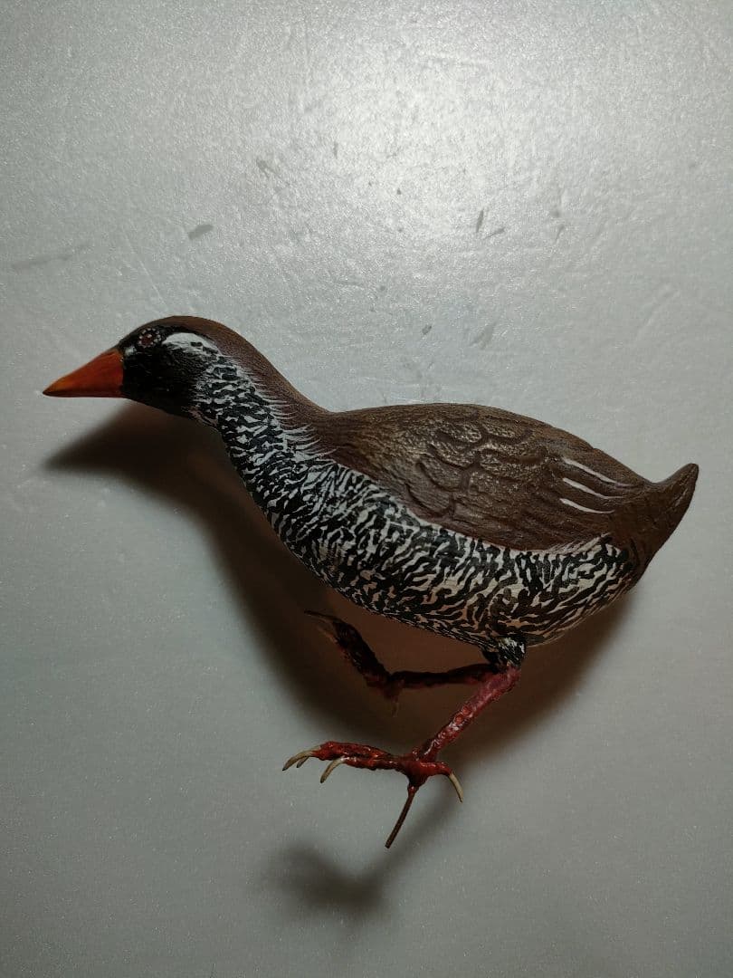 ヤンバルクイナ　バードカービング