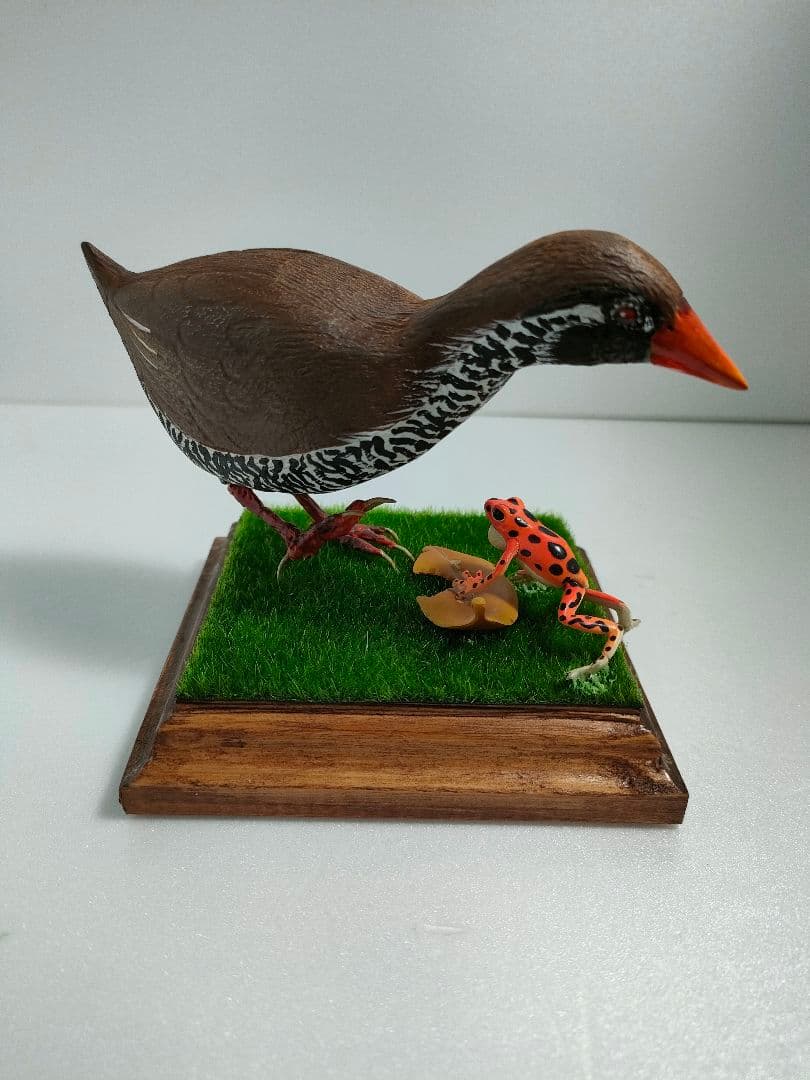 ヤンバルクイナ　バードカービング