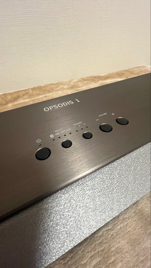 スピーカー・ウーファー OPSODIS1 silver