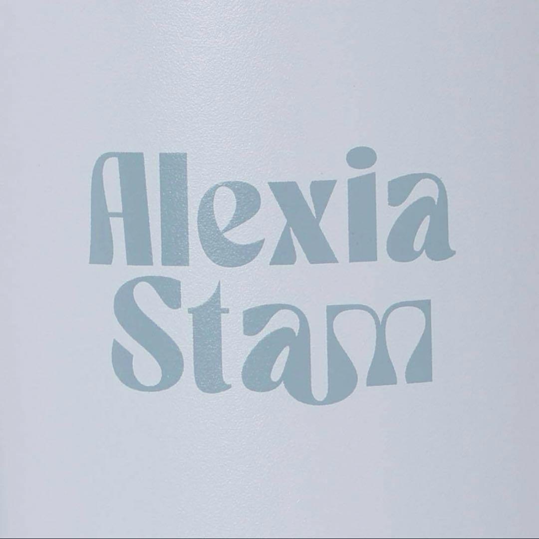 新品 Hydro Flask ALEXIASTAM ステンレスボトル Surf