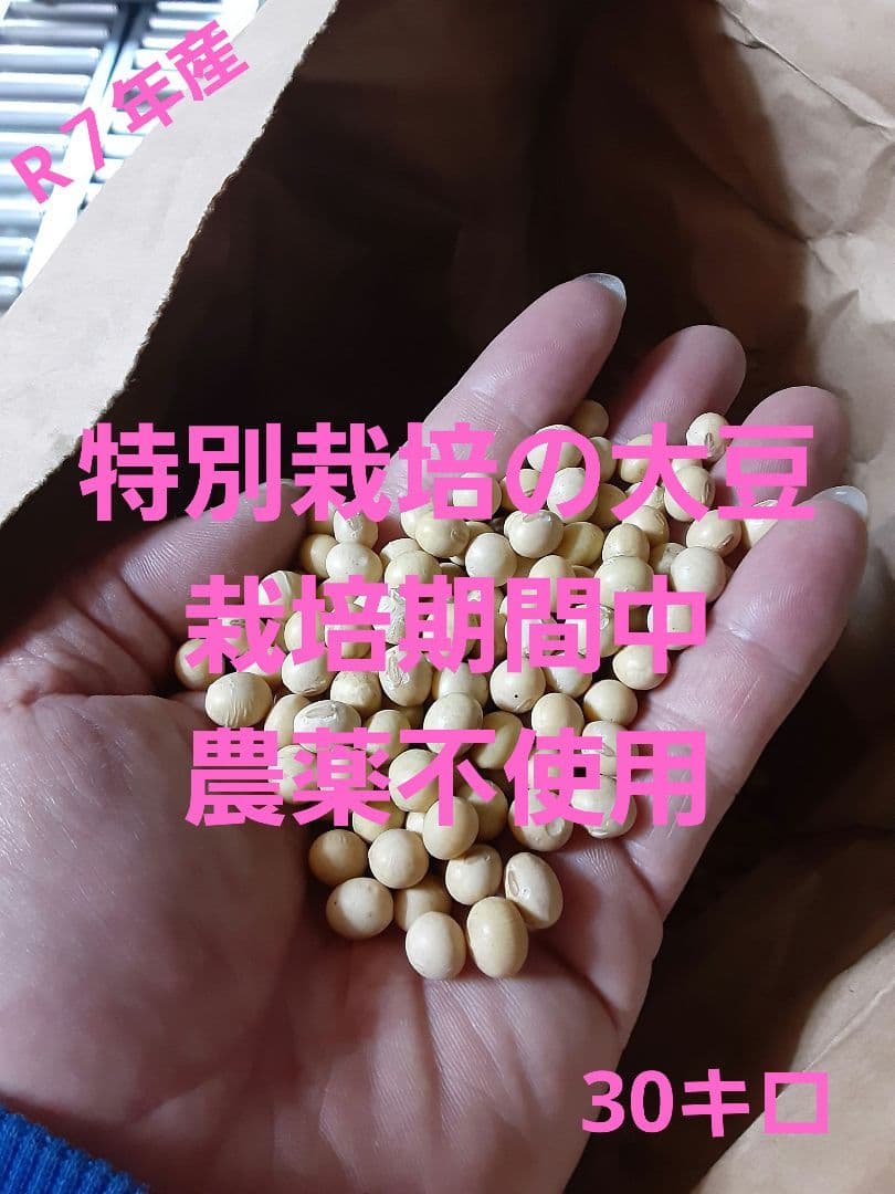 特別栽培の大豆