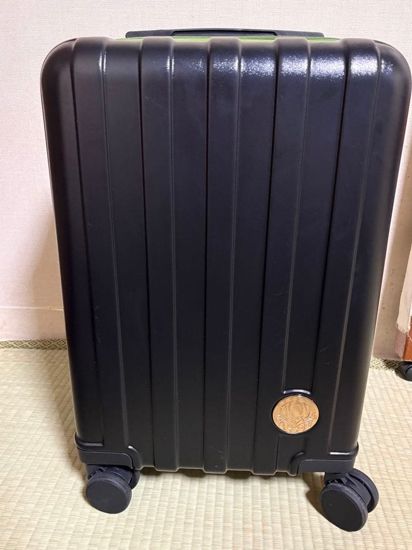 アナ雪　キャリーケース　アナ