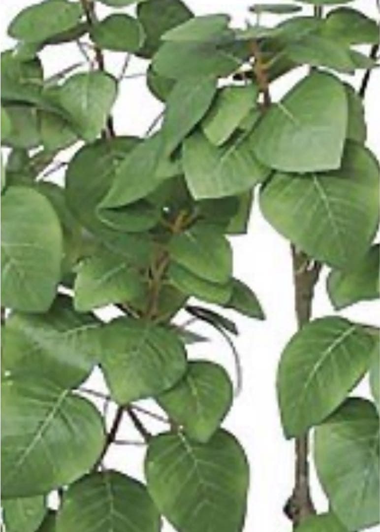 光触媒　人工観葉植物　ウォールグリーン　フェイクグリーン　スモークツリー150