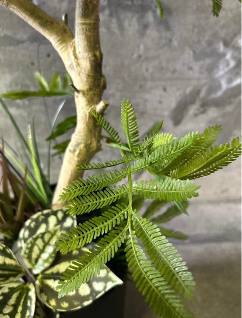光触媒　人工観葉植物　ウォールグリーン　フェイクグリーン　エバーフレッシュ955