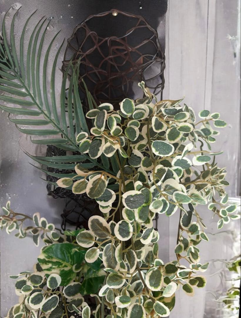 光触媒　人工観葉植物　ウォールグリーン　フェイクグリーン　壁掛けプミラＷ110