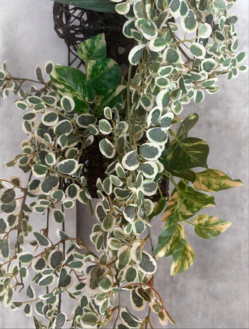 光触媒　人工観葉植物　ウォールグリーン　フェイクグリーン　壁掛けプミラＷ110