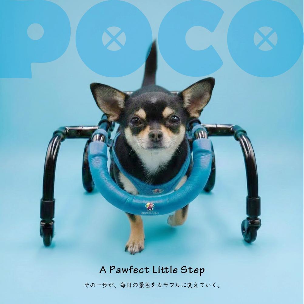 愛犬４輪歩行器【サイズ調整可】×【彩色ブルー】介護・リハビリetc...