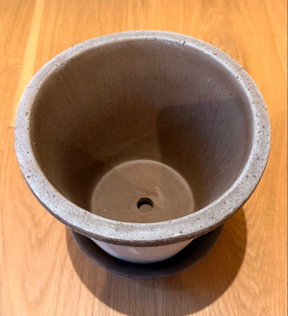 新品！BERGS POTTER バーグスポッター★エリザベス 18cm
